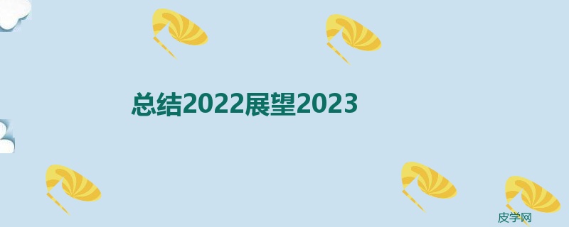 总结2022展望2023