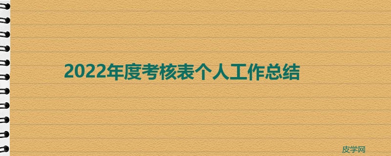 2022年度考核表个人工作总结