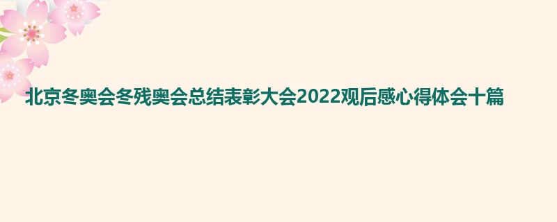 北京冬奥会冬残奥会总结表彰大会2022观后感心得体会十篇