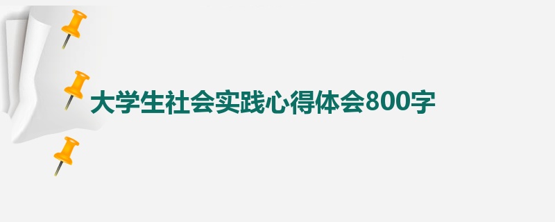 大学生社会实践心得体会800字