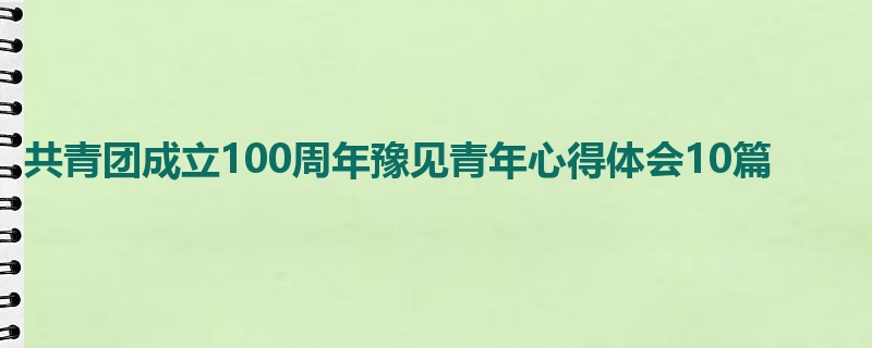 共青团成立100周年豫见青年心得体会10篇