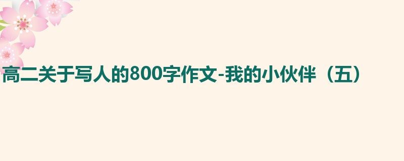 高二关于写人的800字作文-我的小伙伴(五)