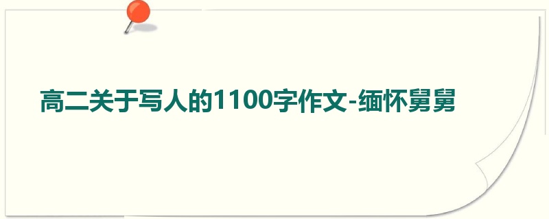 高二关于写人的1100字作文-缅怀舅舅