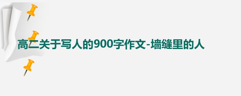 高二关于写人的900字作文-墙缝里的人