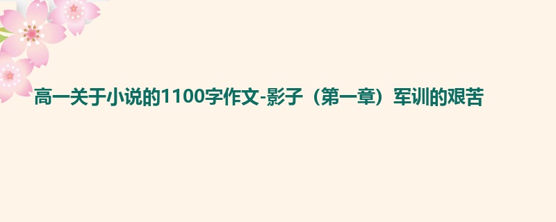 高一关于小说的1100字作文-影子（第一章）军训的艰苦
