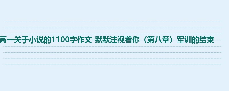 高一关于小说的1100字作文-默默注视着你（第八章）军训的结束