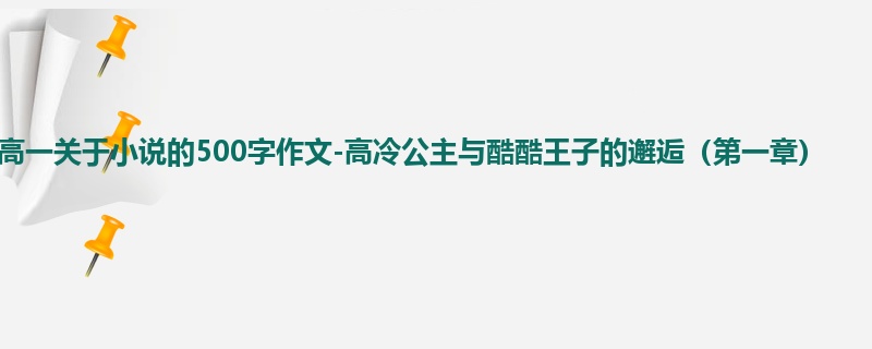高一关于小说的500字作文-高冷公主与酷酷王子的邂逅(第一章)