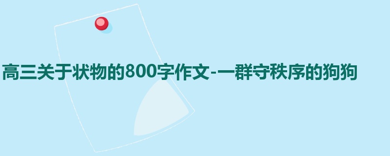 高三关于状物的800字作文-一群守秩序的狗狗