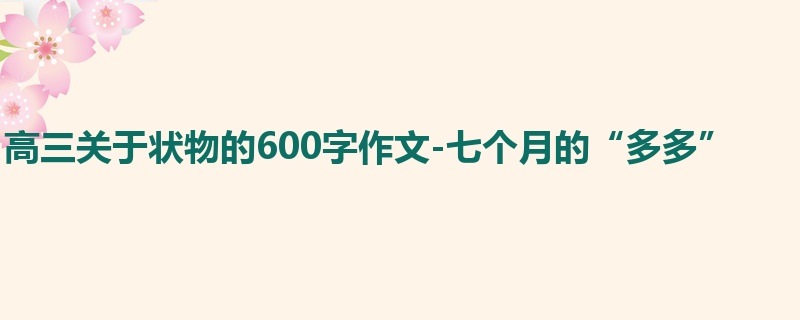 高三关于状物的600字作文-七个月的“多多”