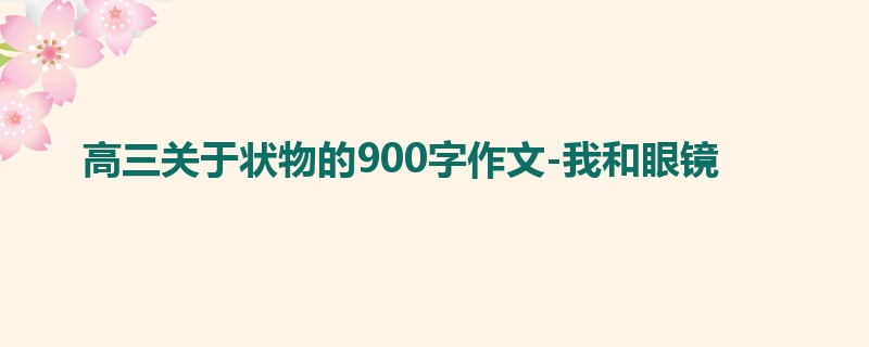 高三关于状物的900字作文-我和眼镜