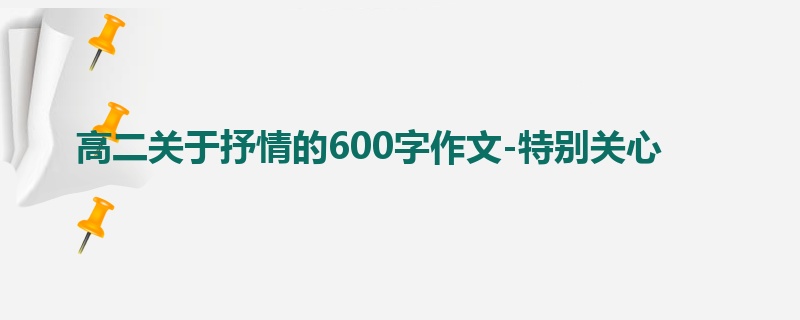 高二关于抒情的600字作文-特别关心
