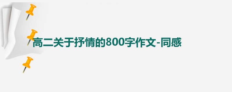 高二关于抒情的800字作文-同感
