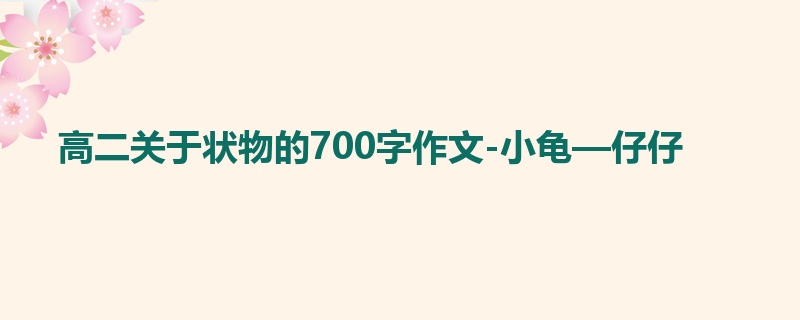 高二关于状物的700字作文-小龟—仔仔