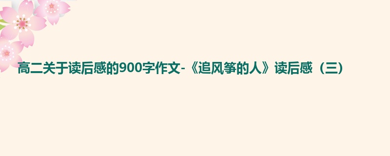 高二关于读后感的900字作文-《追风筝的人》读后感(三)