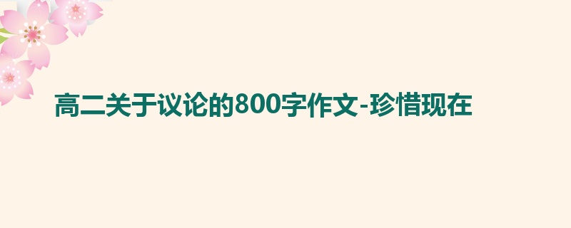 高二关于议论的800字作文-珍惜现在
