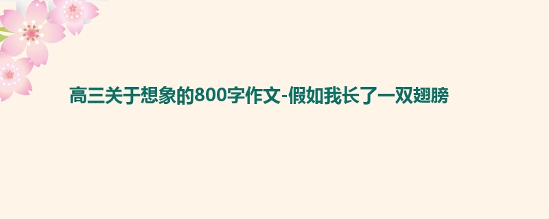 高三关于想象的800字作文-假如我长了一双翅膀