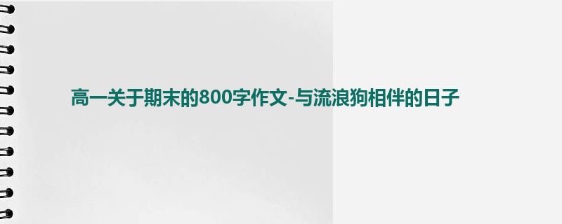 高一关于期末的800字作文-与流浪狗相伴的日子