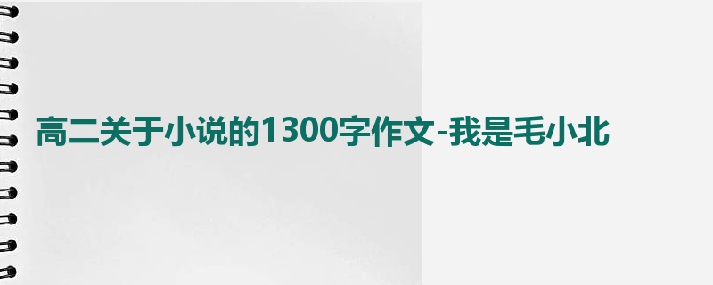 高二关于小说的1300字作文-我是毛小北