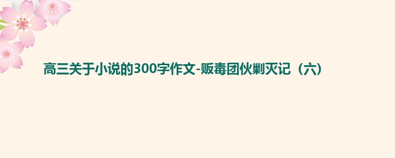 高三关于小说的300字作文-贩毒团伙剿灭记(六)