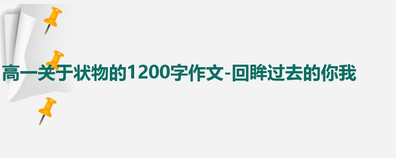 高一关于状物的1200字作文-回眸过去的你我