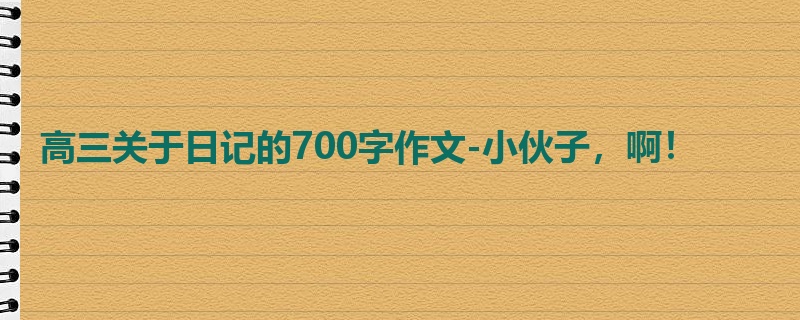 高三关于日记的700字作文-小伙子,啊!