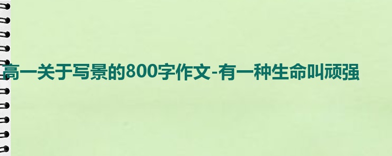 高一关于写景的800字作文-有一种生命叫顽强