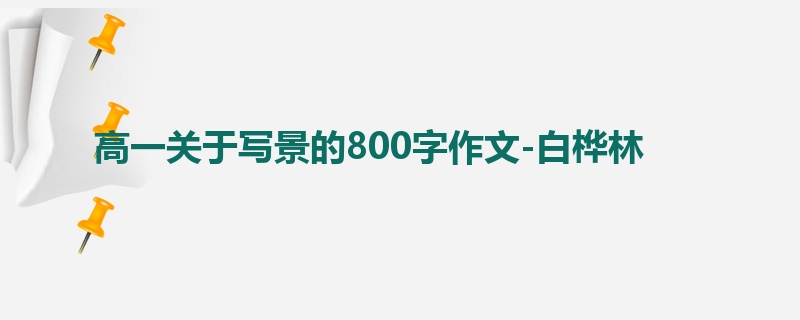 高一关于写景的800字作文-白桦林