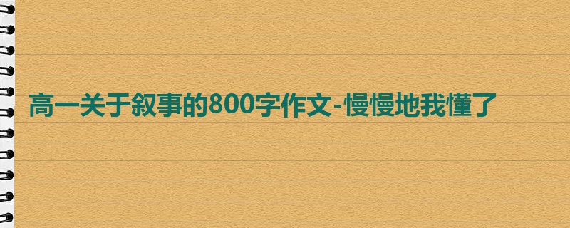 高一关于叙事的800字作文-慢慢地我懂了