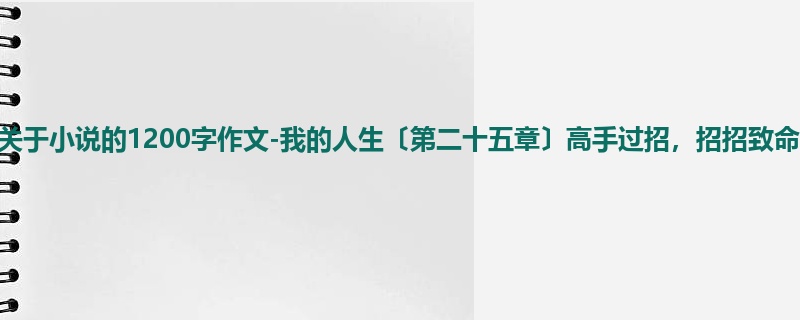 高二关于小说的1200字作文-我的人生〔第二十五章〕高手过招,招招致命