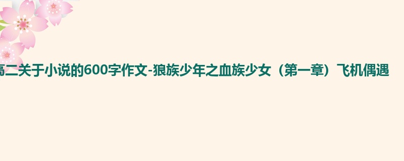 高二关于小说的600字作文-狼族少年之血族少女(第一章)飞机偶遇