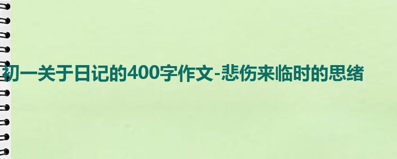 初一关于日记的400字作文-悲伤来临时的思绪