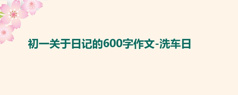 初一关于日记的600字作文-洗车日