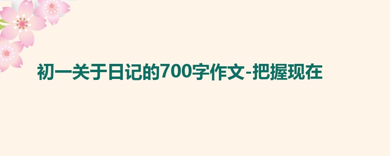 初一关于日记的700字作文-把握现在