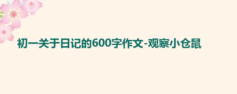 初一关于日记的600字作文-观察小仓鼠