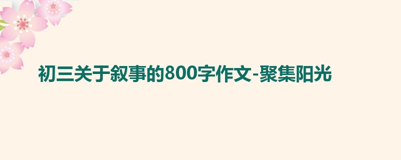 初三关于叙事的800字作文-聚集阳光