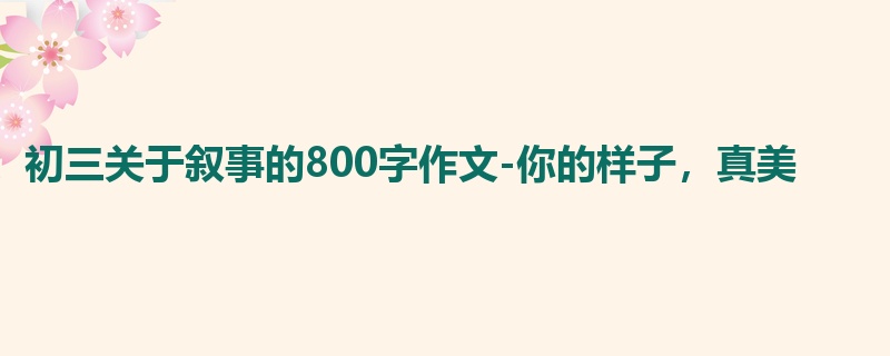 初三关于叙事的800字作文-你的样子,真美