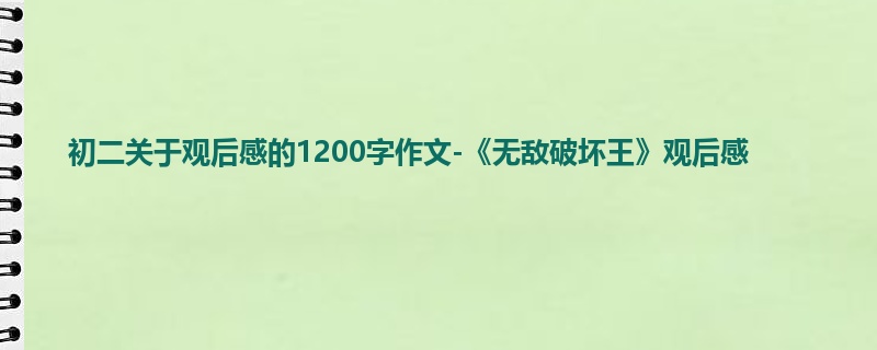 初二关于观后感的1200字作文-《无敌破坏王》观后感