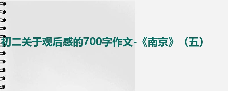 初二关于观后感的700字作文-《南京》(五)