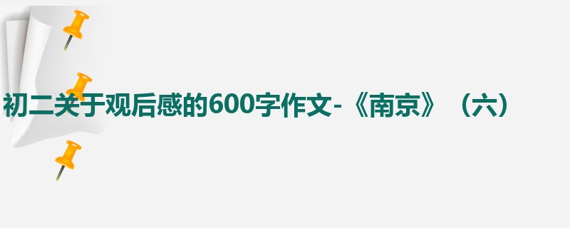初二关于观后感的600字作文-《南京》(六)