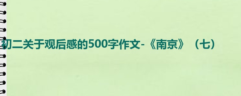 初二关于观后感的500字作文-《南京》（七）