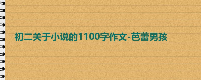 初二关于小说的1100字作文-芭蕾男孩