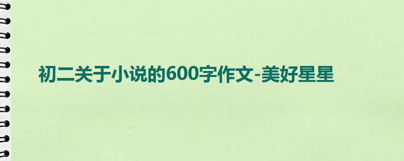 初二关于小说的600字作文-美好星星