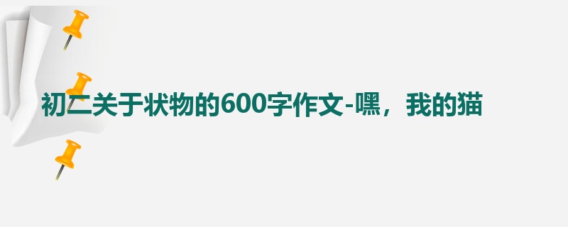 初二关于状物的600字作文-嘿,我的猫