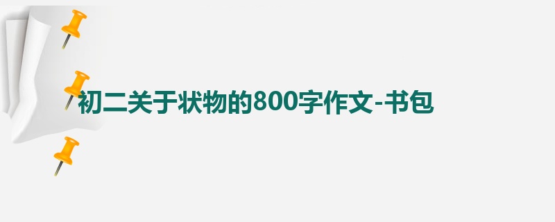 初二关于状物的800字作文-书包