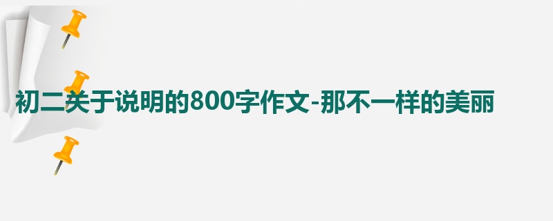 初二关于说明的800字作文-那不一样的美丽