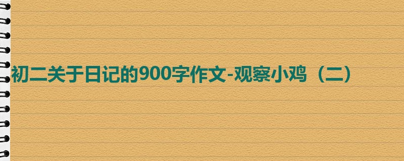 初二关于日记的900字作文-观察小鸡(二)