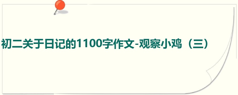 初二关于日记的1100字作文-观察小鸡(三)
