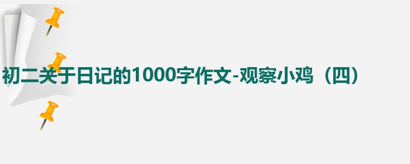 初二关于日记的1000字作文-观察小鸡(四)