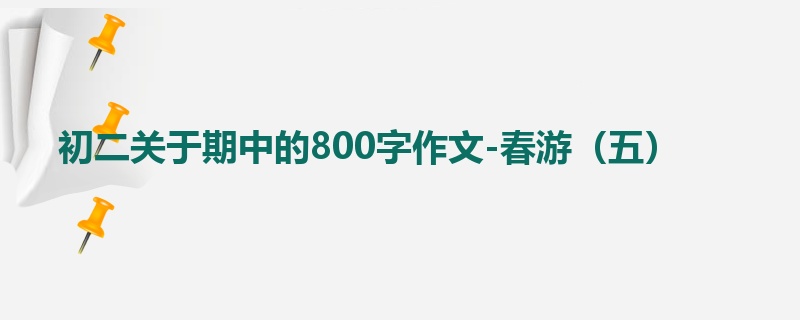 初二关于期中的800字作文-春游(五)