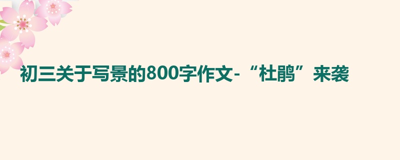 初三关于写景的800字作文-“杜鹃”来袭
